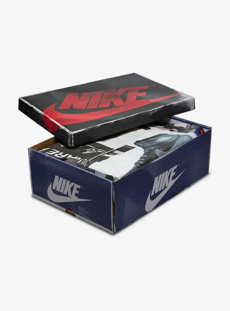 Air Jordan 1 High OG Rare Air